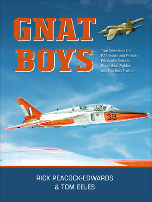 cover image of Gnat Boys